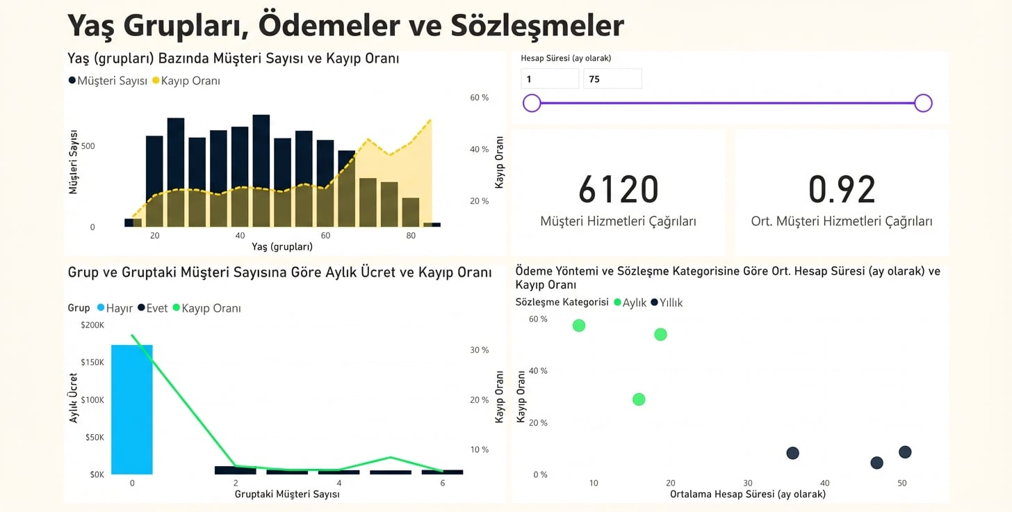 Yaş Grupları, Ödemeler ve Sözleşmeler rapor sayfası