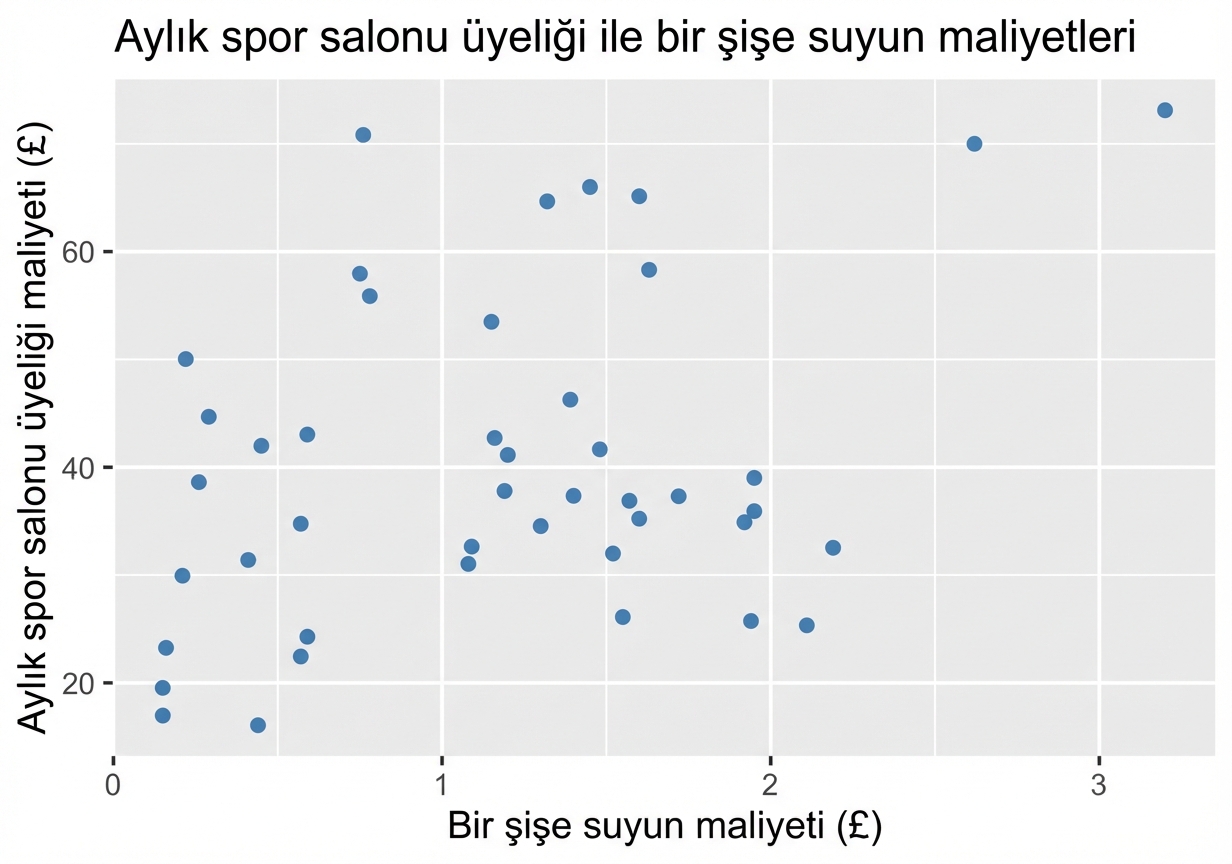 aylık spor salonu maliyetleri ile bir şişe su maliyeti arasındaki ilişkiyi gösteren saçılım grafiği.png