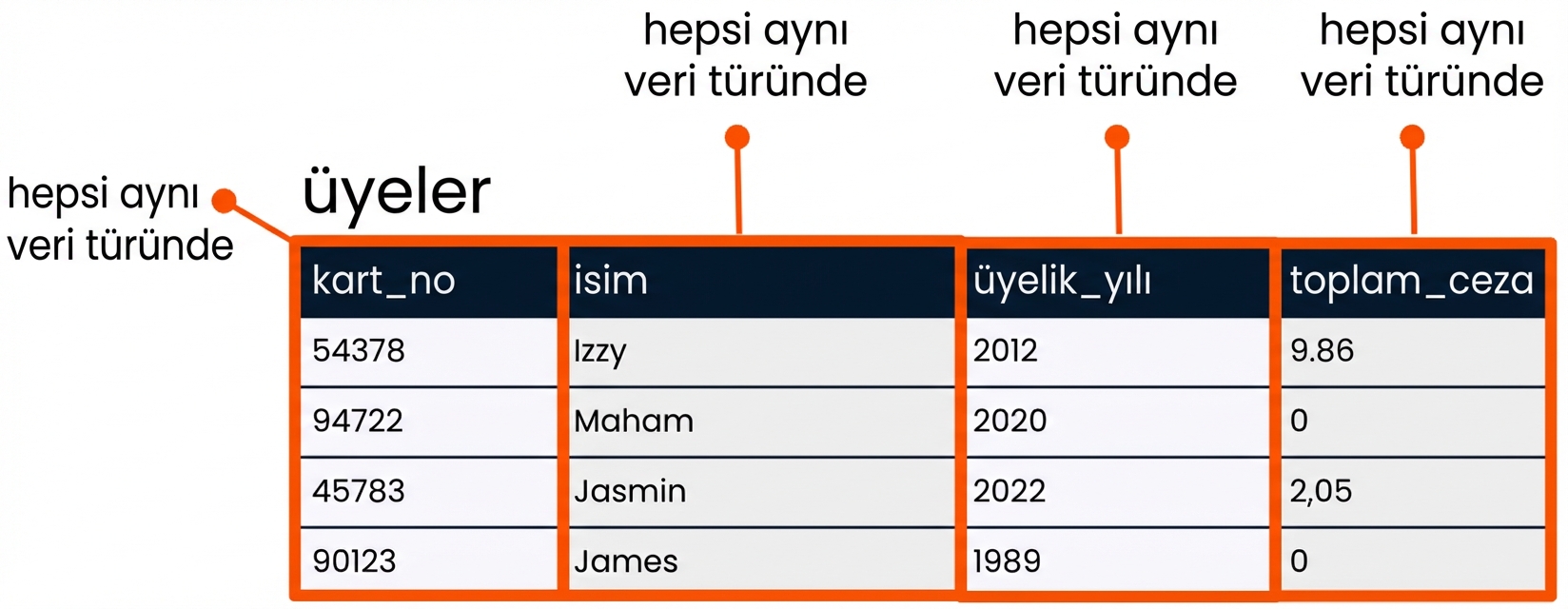 alanlarının her biri vurgulanmış ve her birinin tek bir veri türü olduğu belirtilmiş patrons tablosu
