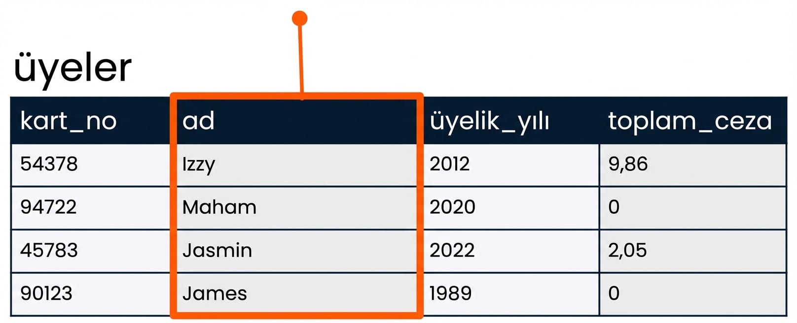 name alanını SELECT et
