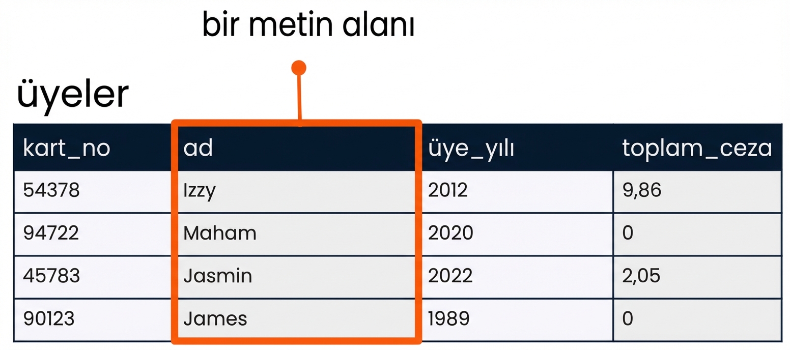 bir string alan örneği olarak adı alanı vurgulanmış patrons tablosu
