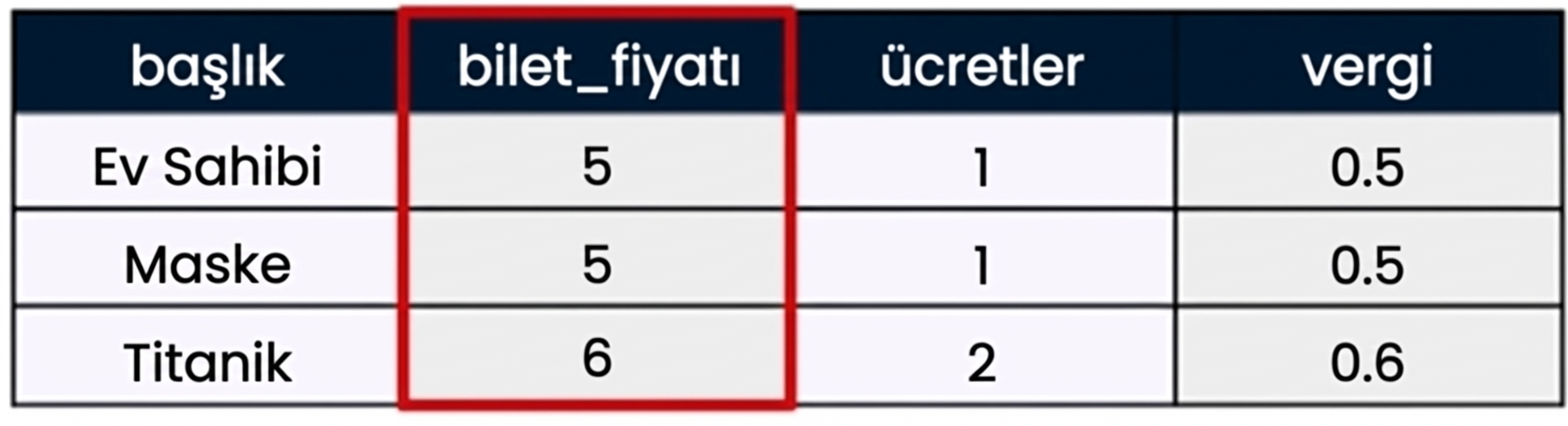 SQL'de alan olarak da bilinen tek bir sütunu kırmızı kutu içine alan bir tablo örneği.
