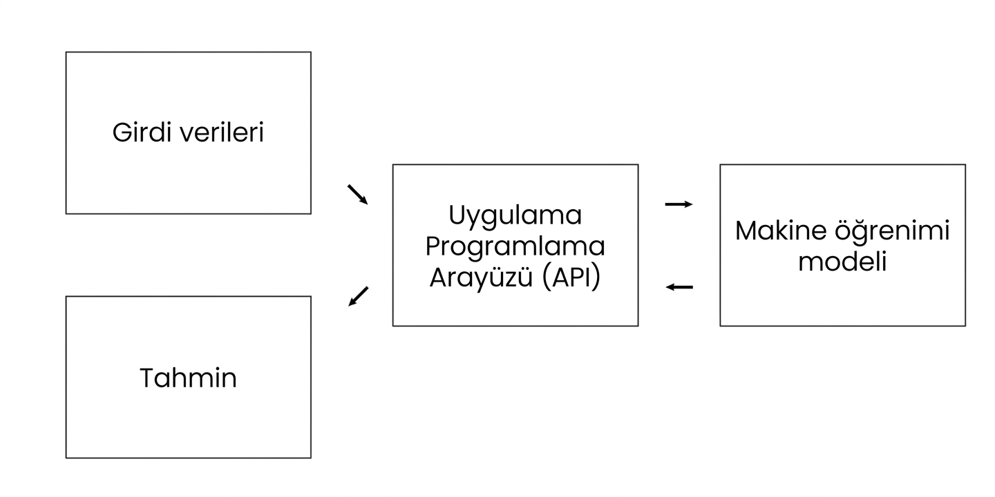 Bilgi hariç uygulama programlama arayüzü