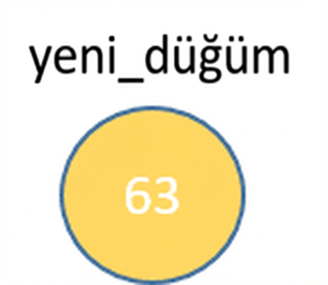 Yeni bir düğümün görsel gösterimi.
