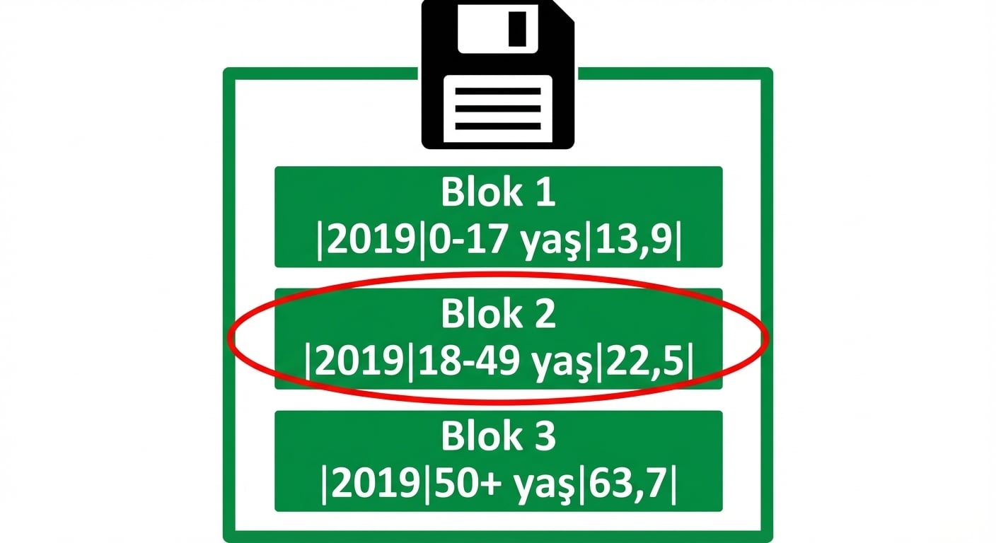 Her blokta bir satır saklanan, depolama bloklarına sahip sabit diskin sembolik görseli