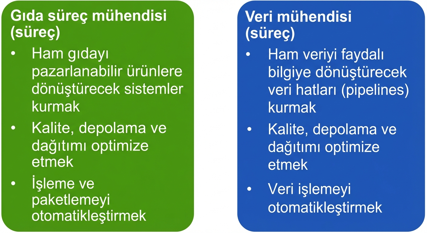 Gıda proses mühendisinin ve veri mühendisinin sorumluluklarını gösteren görsel