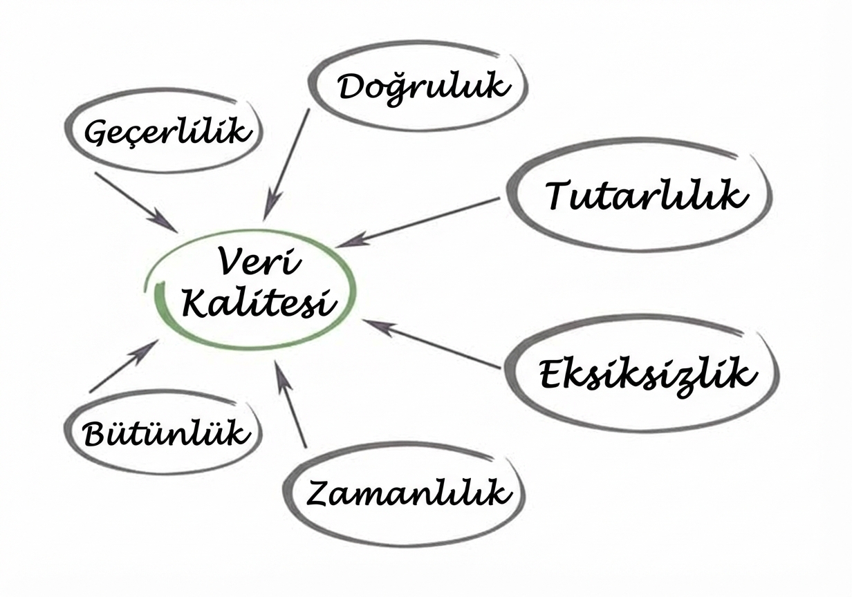 Geçerlilik, doğruluk, tutarlılık, tamlık, zamanındalık ve bütünlüğün merkeze işaret ettiği, ortada veri kalitesi yazan bir diyagram