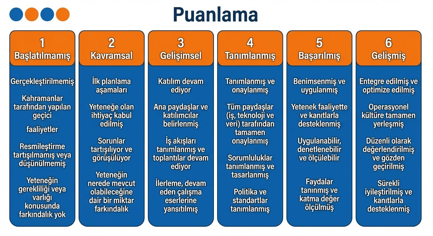 DCAM puanlama ölçütünü gösteren bir grafik