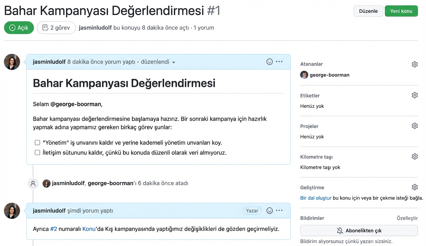 Bir issue bağlandıktan sonraki görünüm