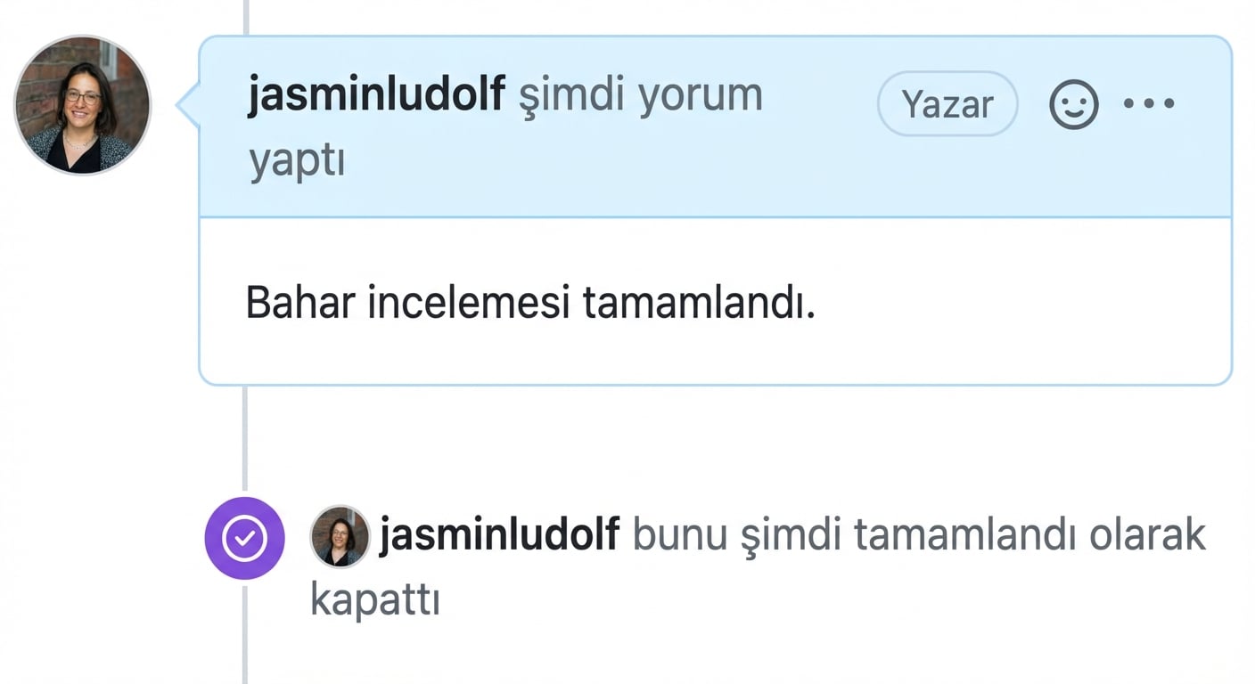 Kapatılmış bir issue görünümü