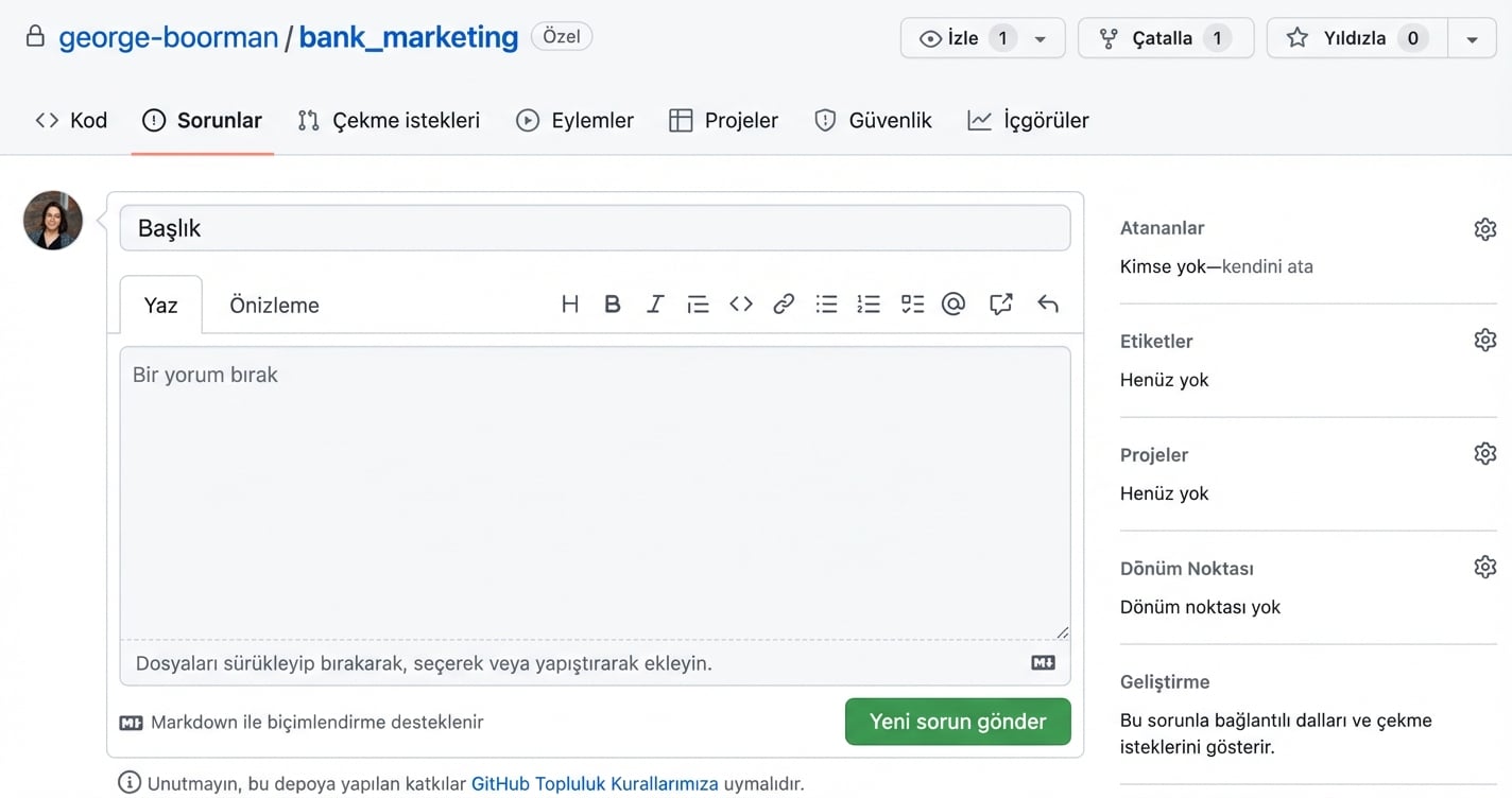 Yeni bir issue oluşturma görünümü
