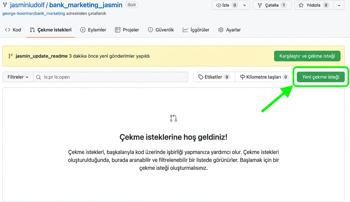 Çatallanmış depodaki Pull requests sekmesi; yeni çekme isteği düğmesi vurgulu
