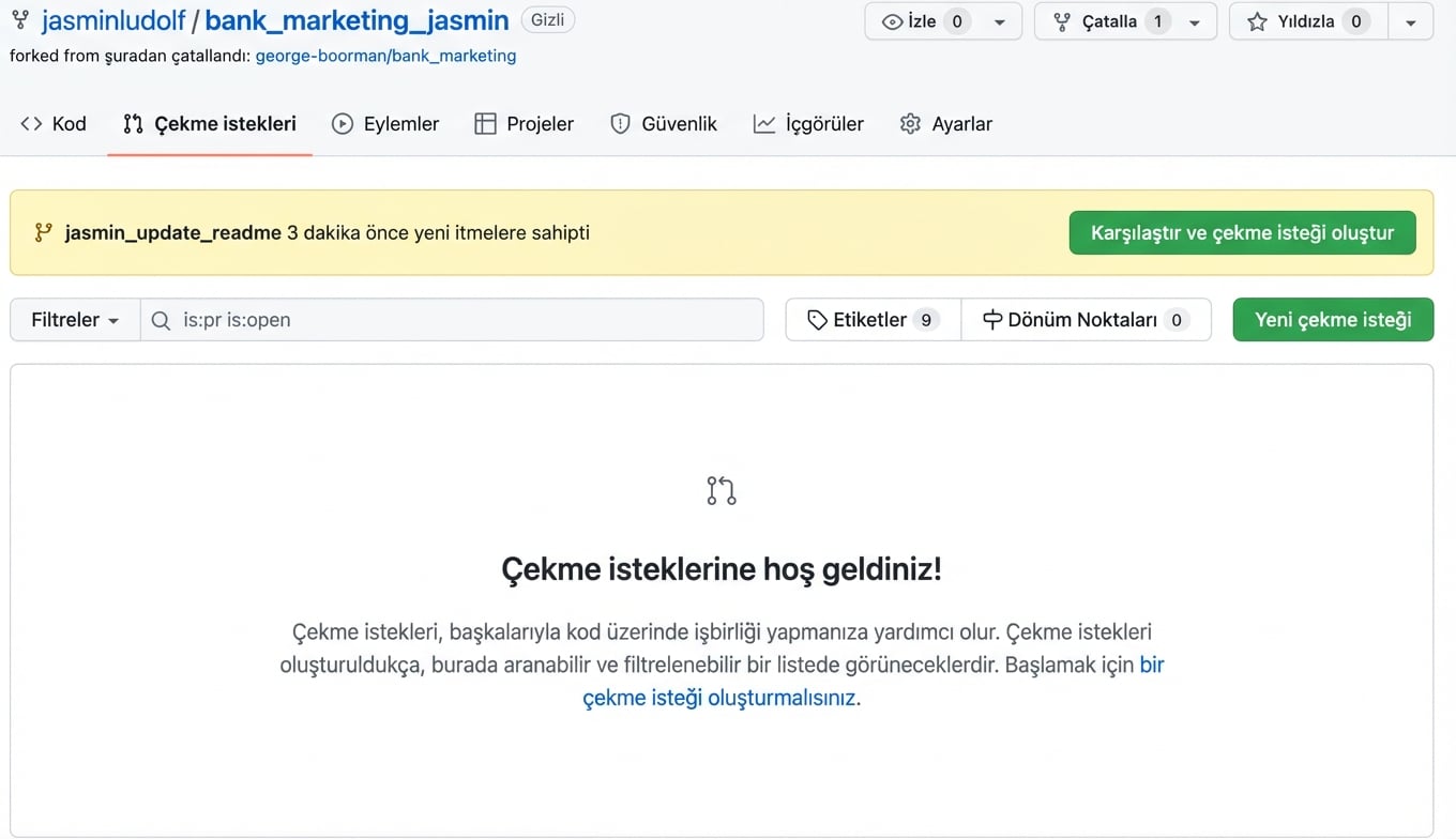 Çatallanmış depodaki Pull requests sekmesi görünümü