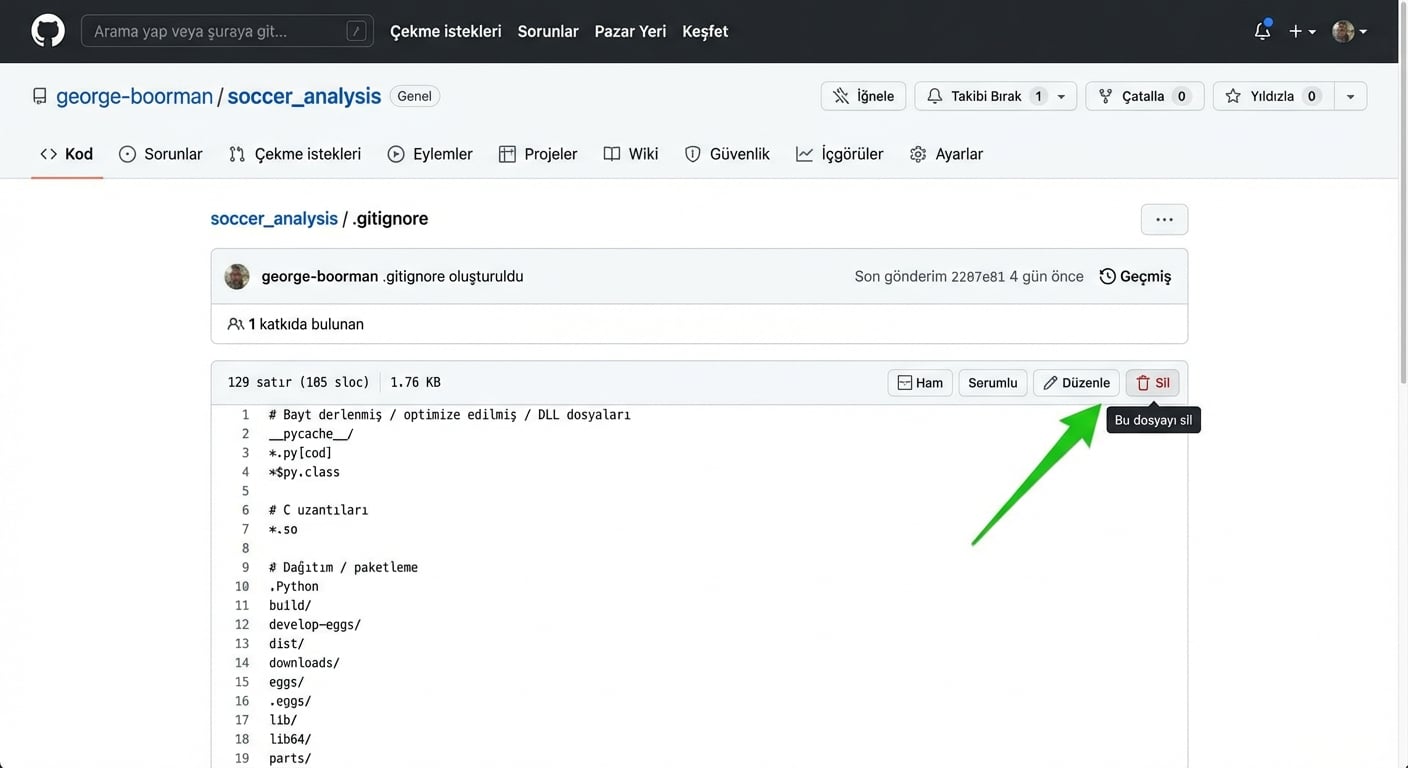 dot-gitignore'u silme