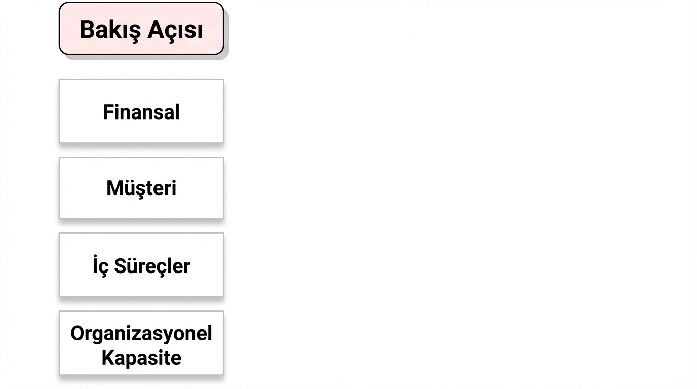 kaplan perspektifi