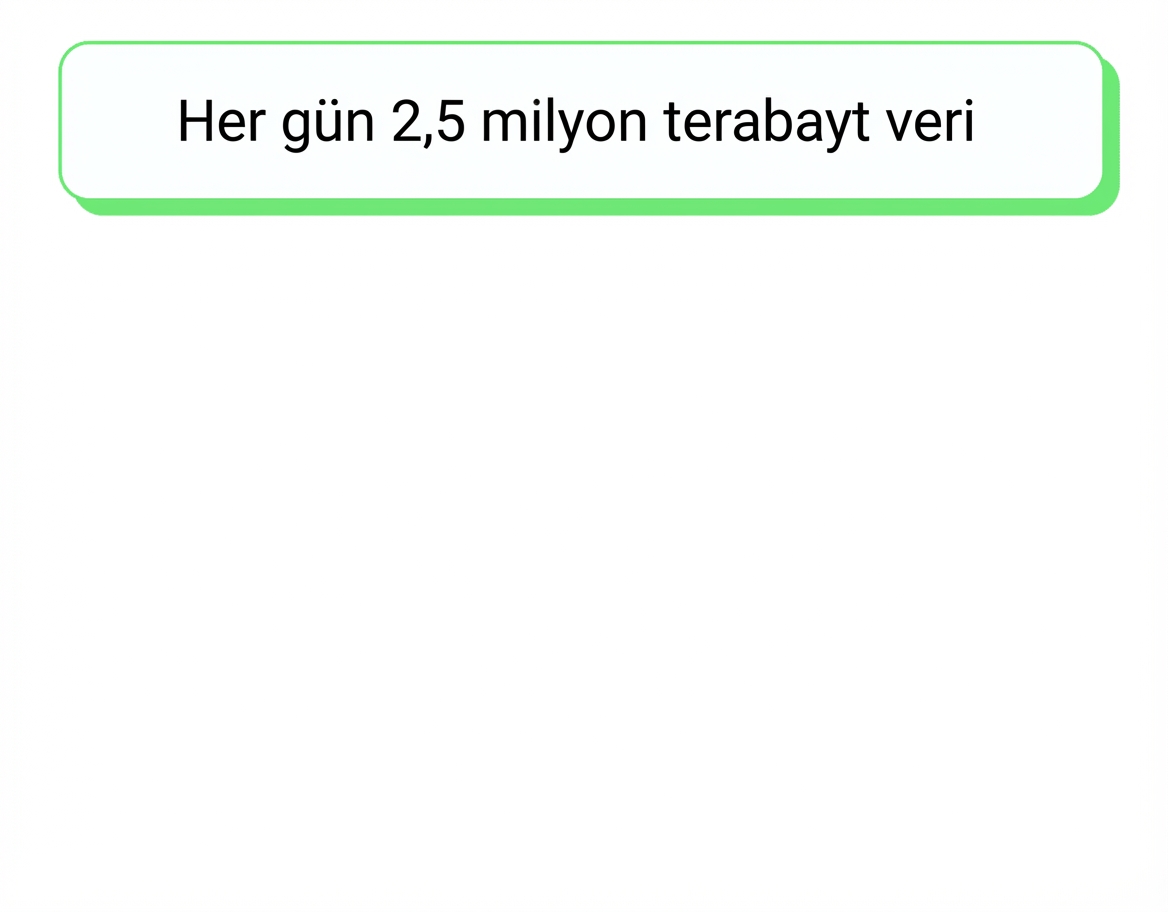 veri seli