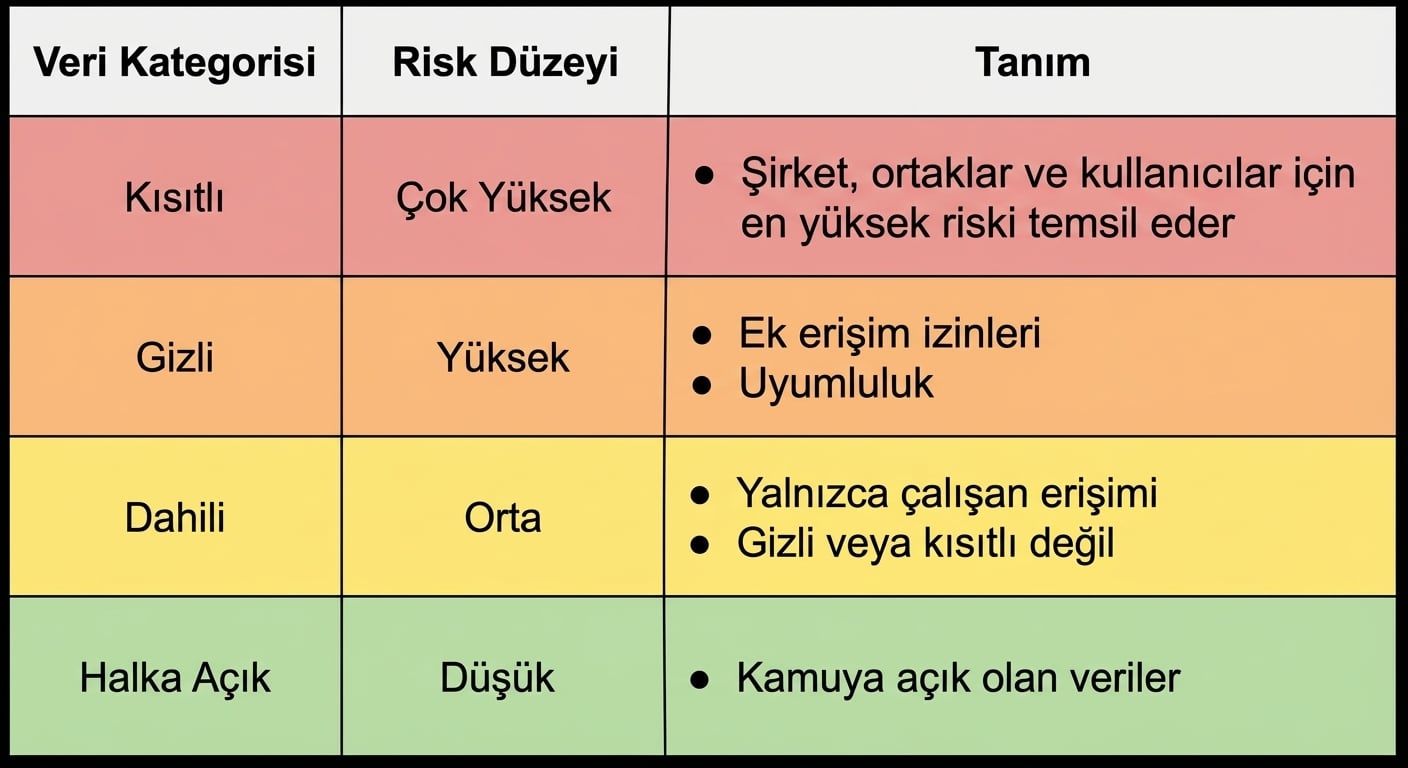 Örnek Risk Sınıflandırma tablosu