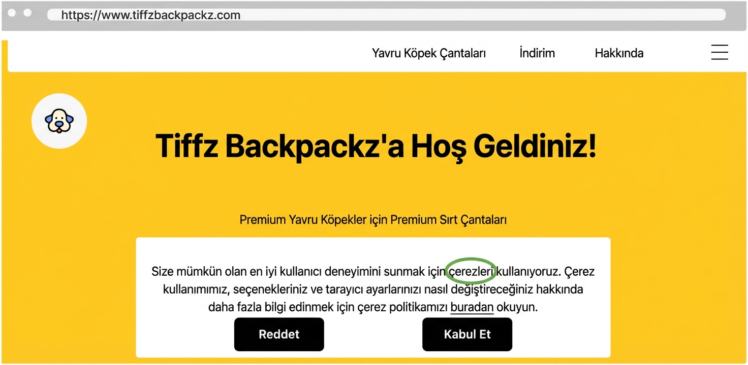 Tiffz Backpackz açılış sayfasında çerezler