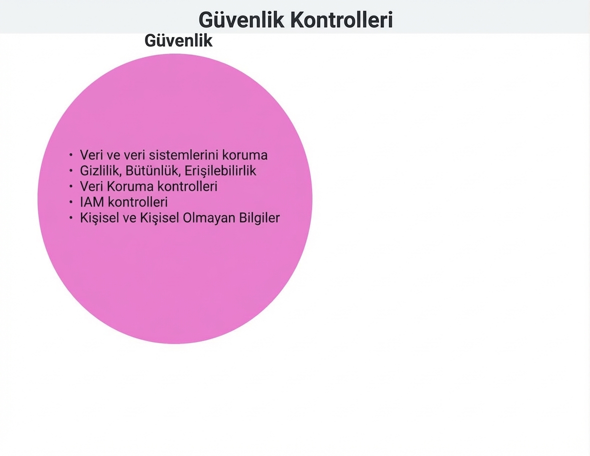 Güvenlik kontrolleri çemberi
