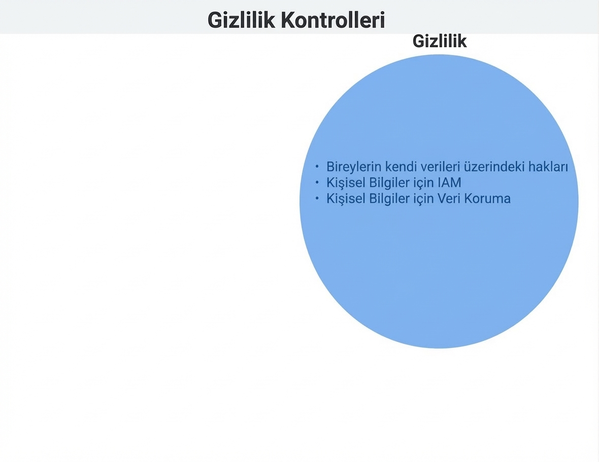 Gizlilik kontrolleri çemberi