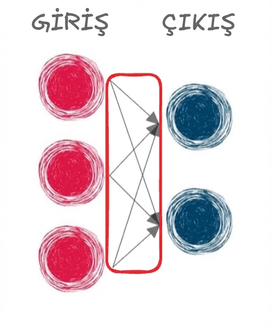 Girdi ve çıktı katmanları oklarla bağlanmış bir görsel