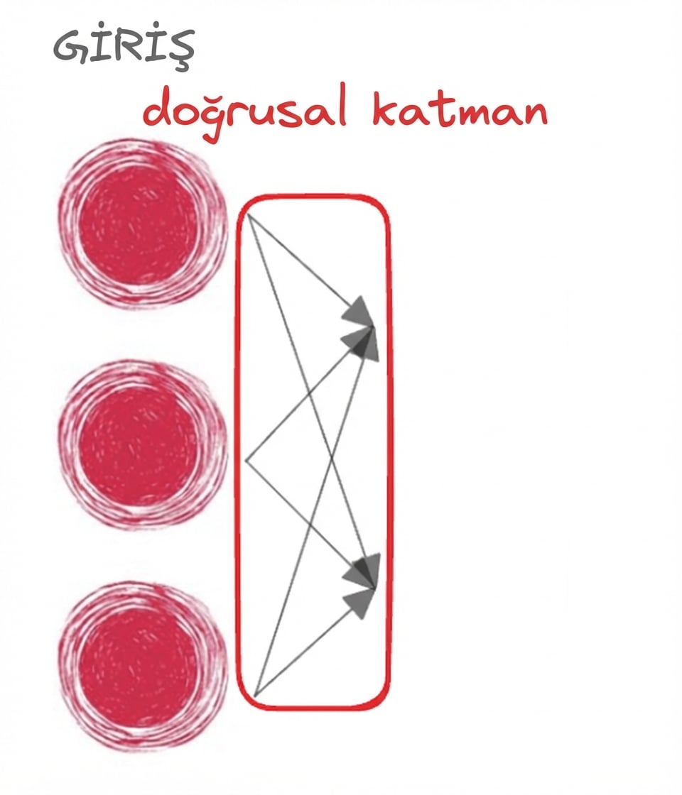 Doğrusal katmanı temsil eden ileri oklarla sinir ağına girişi gösteren üç düğüm