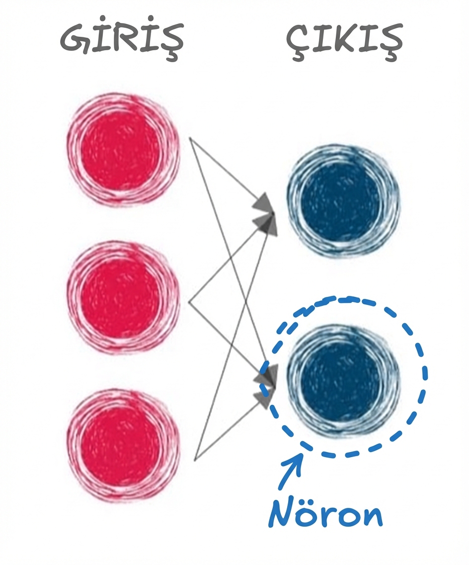 Oklarla bağlanmış girdi/çıkış katmanları ve bir çıktı nöronu daire içine alınmış