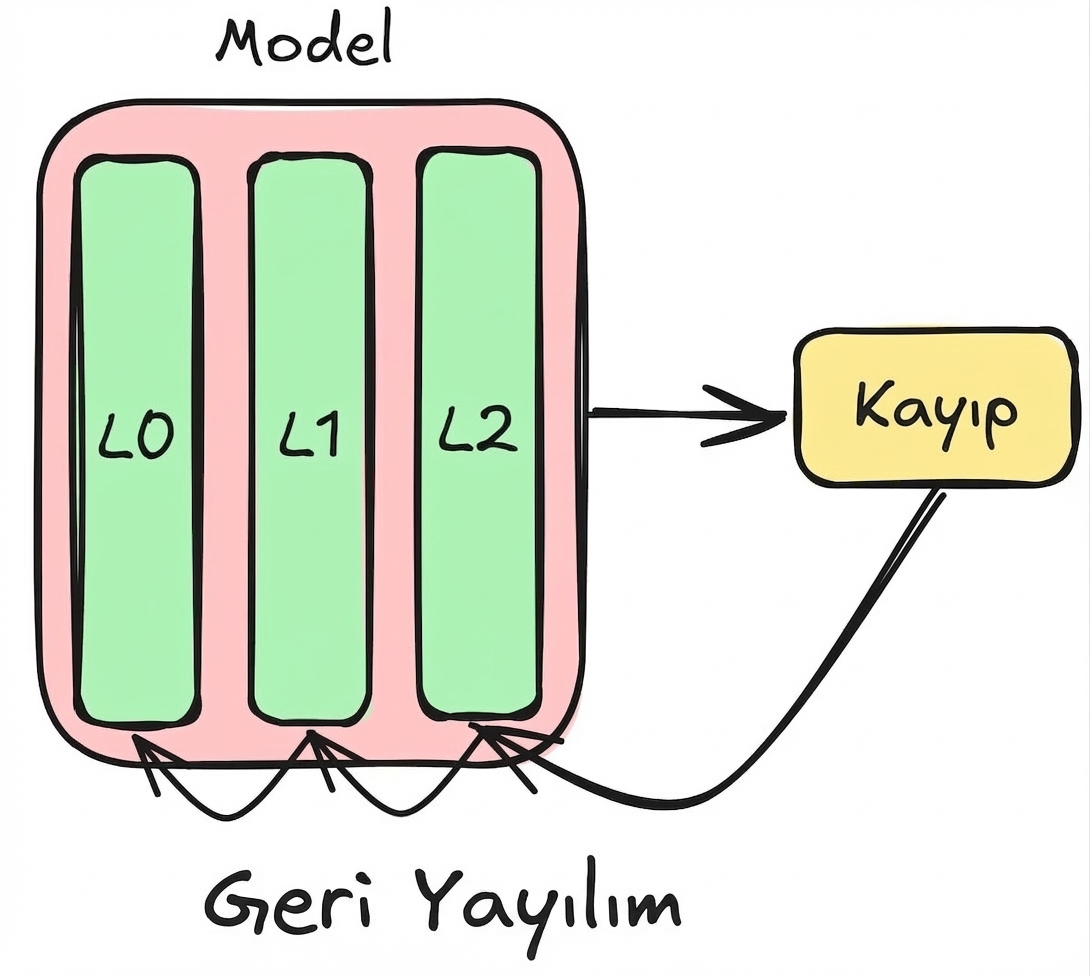 Geri yayılım diyagramı
