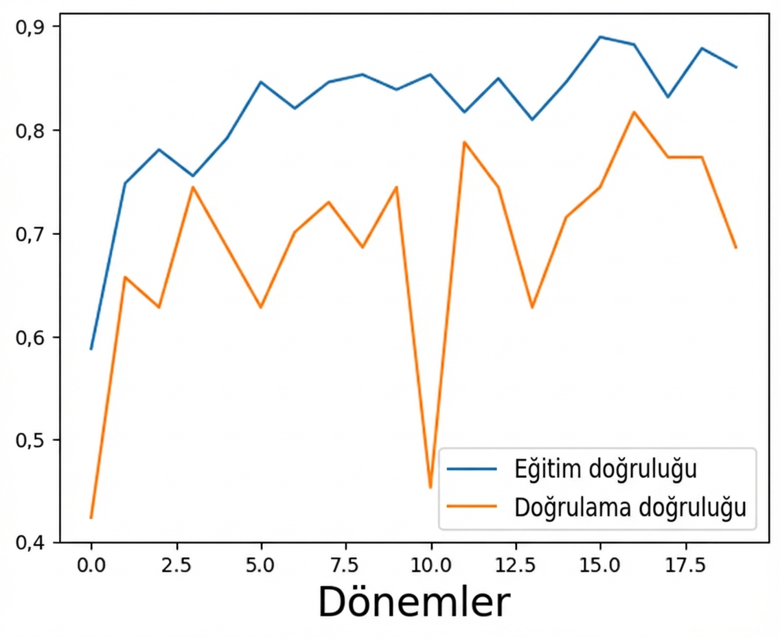 orijinal performanslar