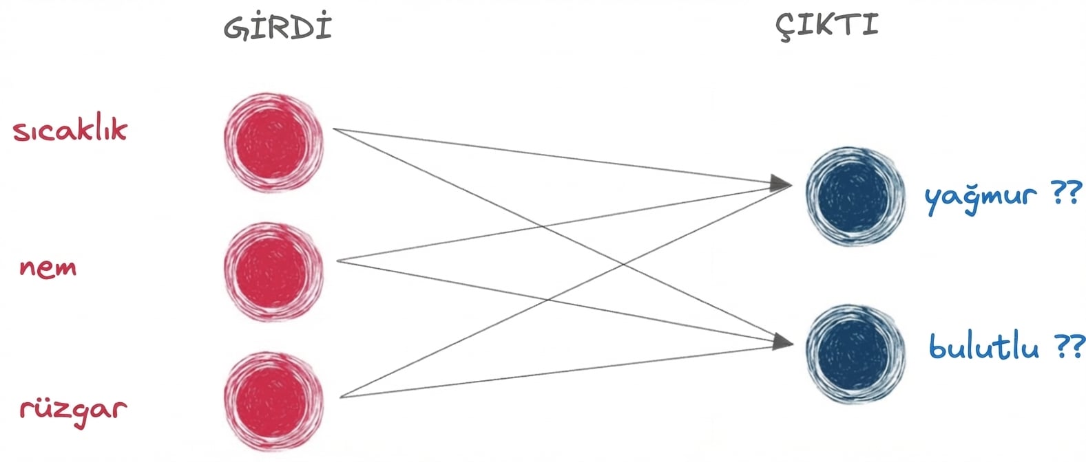 Yalnızca girdi ve çıktısı olan basit bir sinir ağını gösteren diyagram