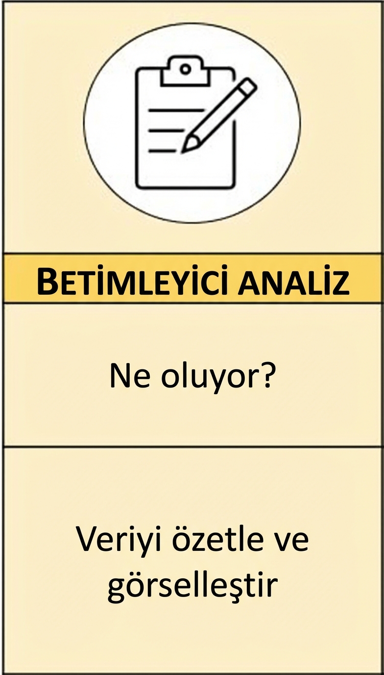 Tanımlayıcı analitiğin özet görseli