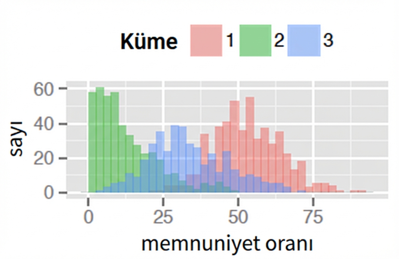 Memnuniyet oranı için kümeye göre sayı grafiği