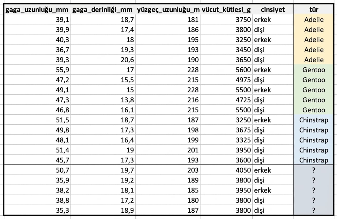 Penguen veri kümesinin ekran görüntüsü
