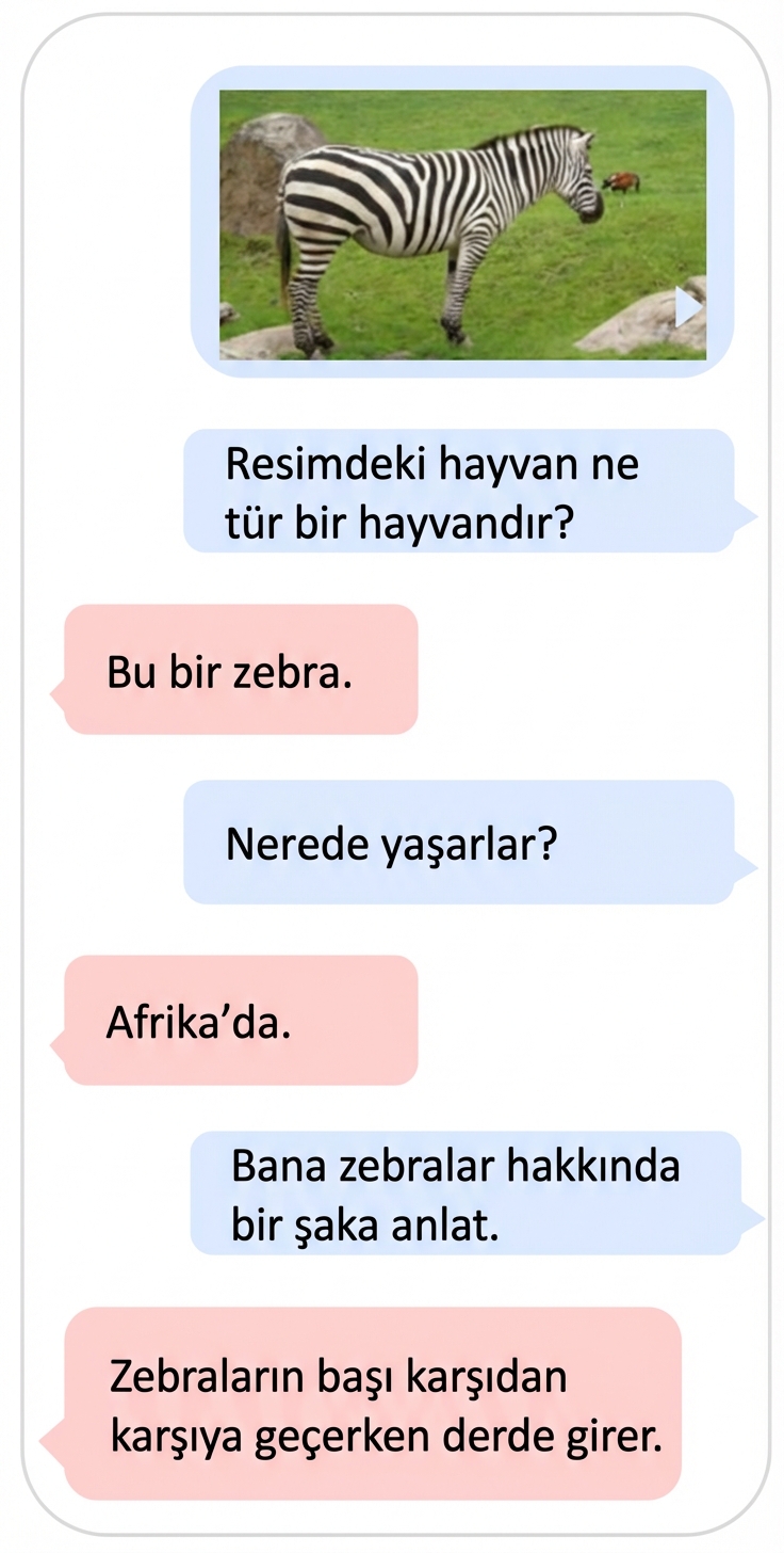 Bir LLM'nin metin ve görsel veriyi kullanmasına multimodal örnek