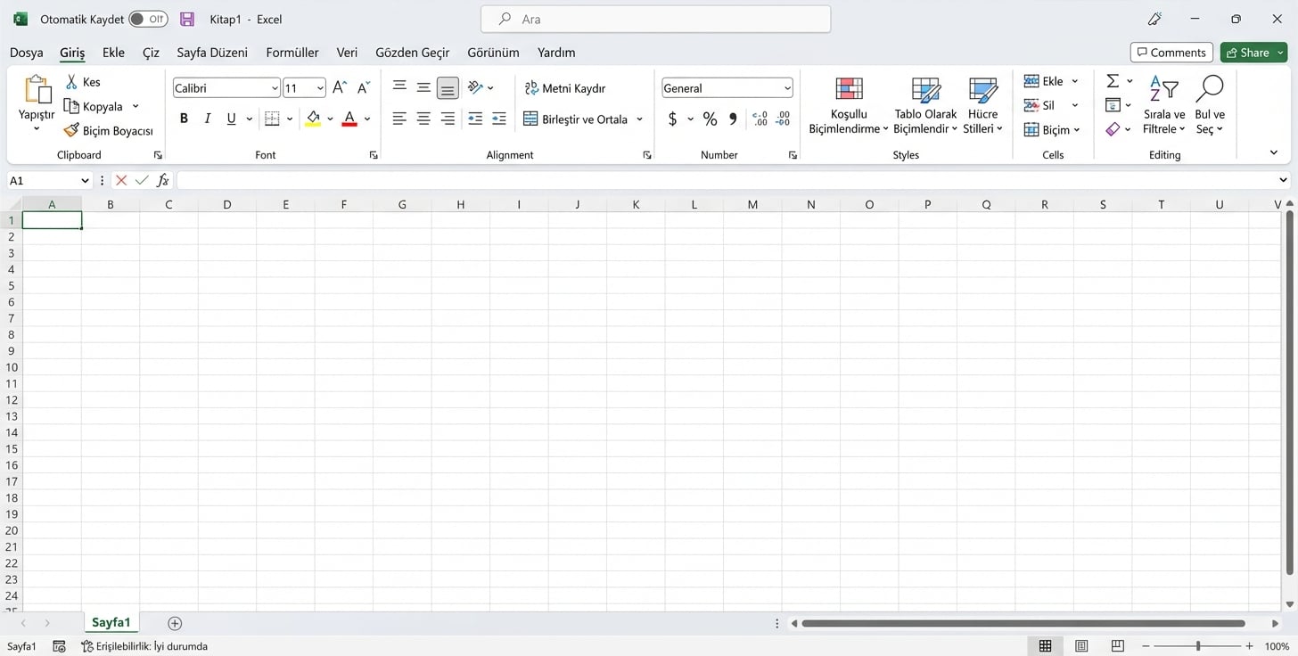 Bir Excel dosyasının ekran görüntüsü