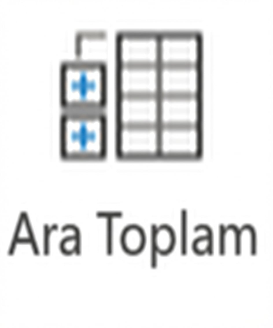 Excel'deki Ara Toplam düğmesi.