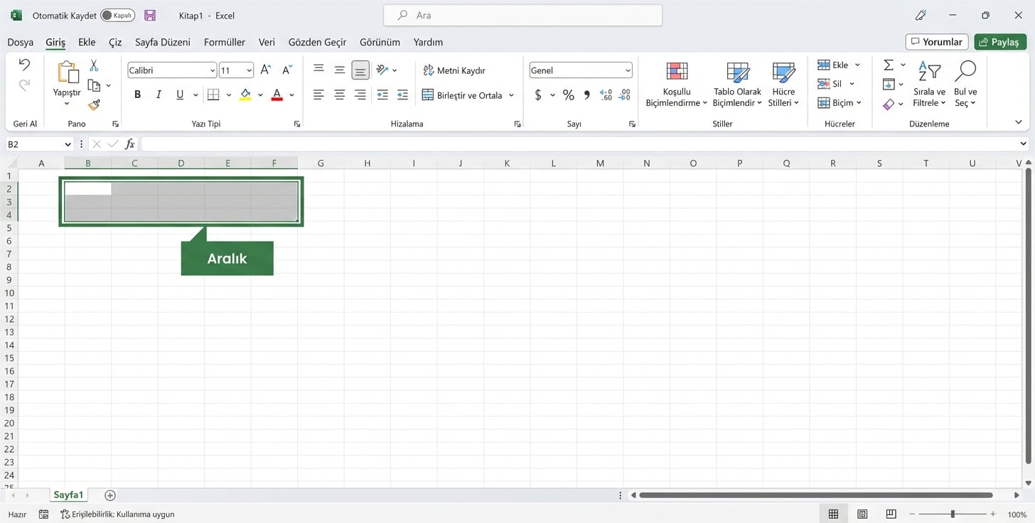 Bir aralık seçimini vurgulayan Excel dosyası