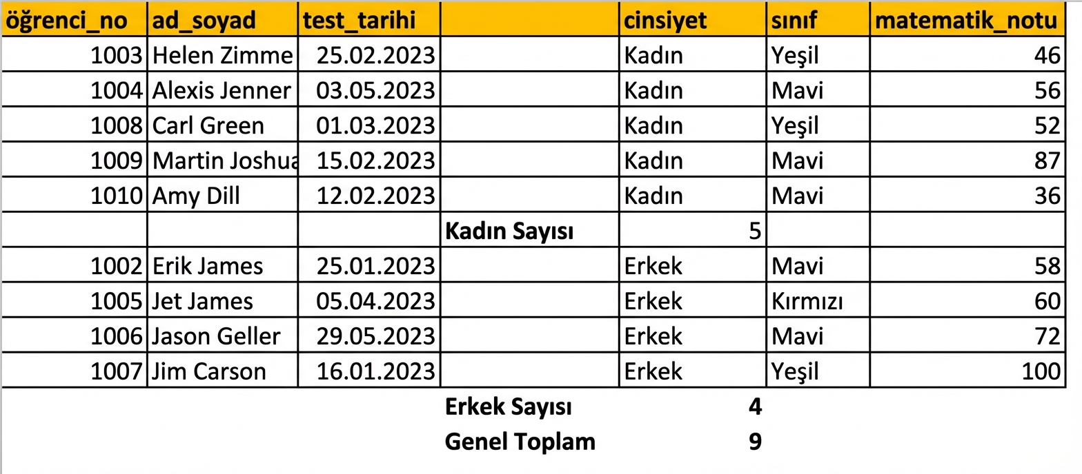 Ara toplam özelliğiyle cinsiyete göre sayım eklenmiş öğrenci test sonuçları tablosu