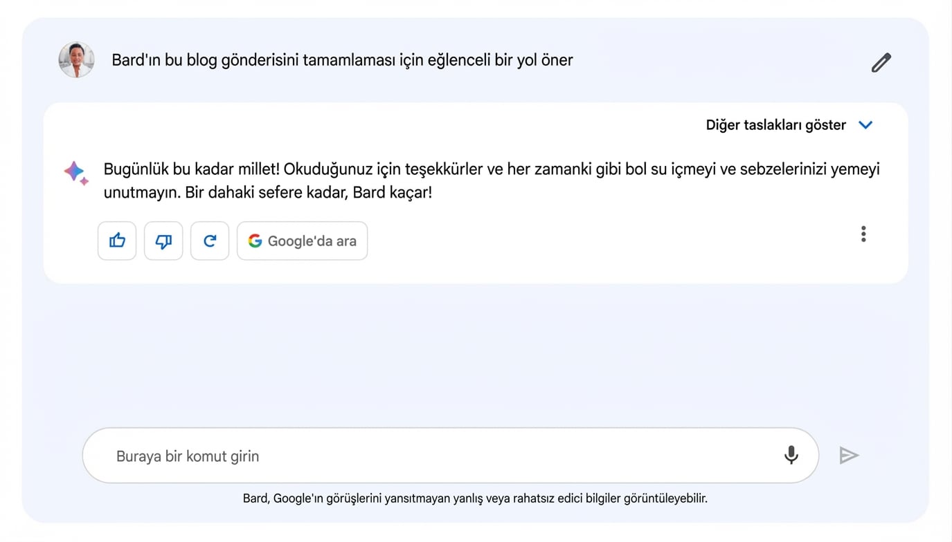 Google'ın Bard sohbet botunun görüntüsü