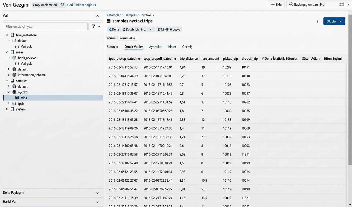 Data Explorer UI