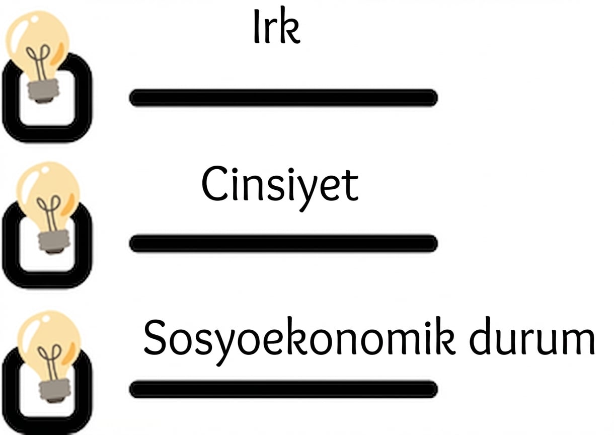 Irk, cinsiyet ve sosyoekonomik durumu içeren bir kontrol listesi.