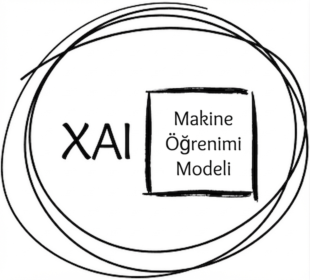 XAI'nin nasıl çalıştığını gösteren bir görsel.