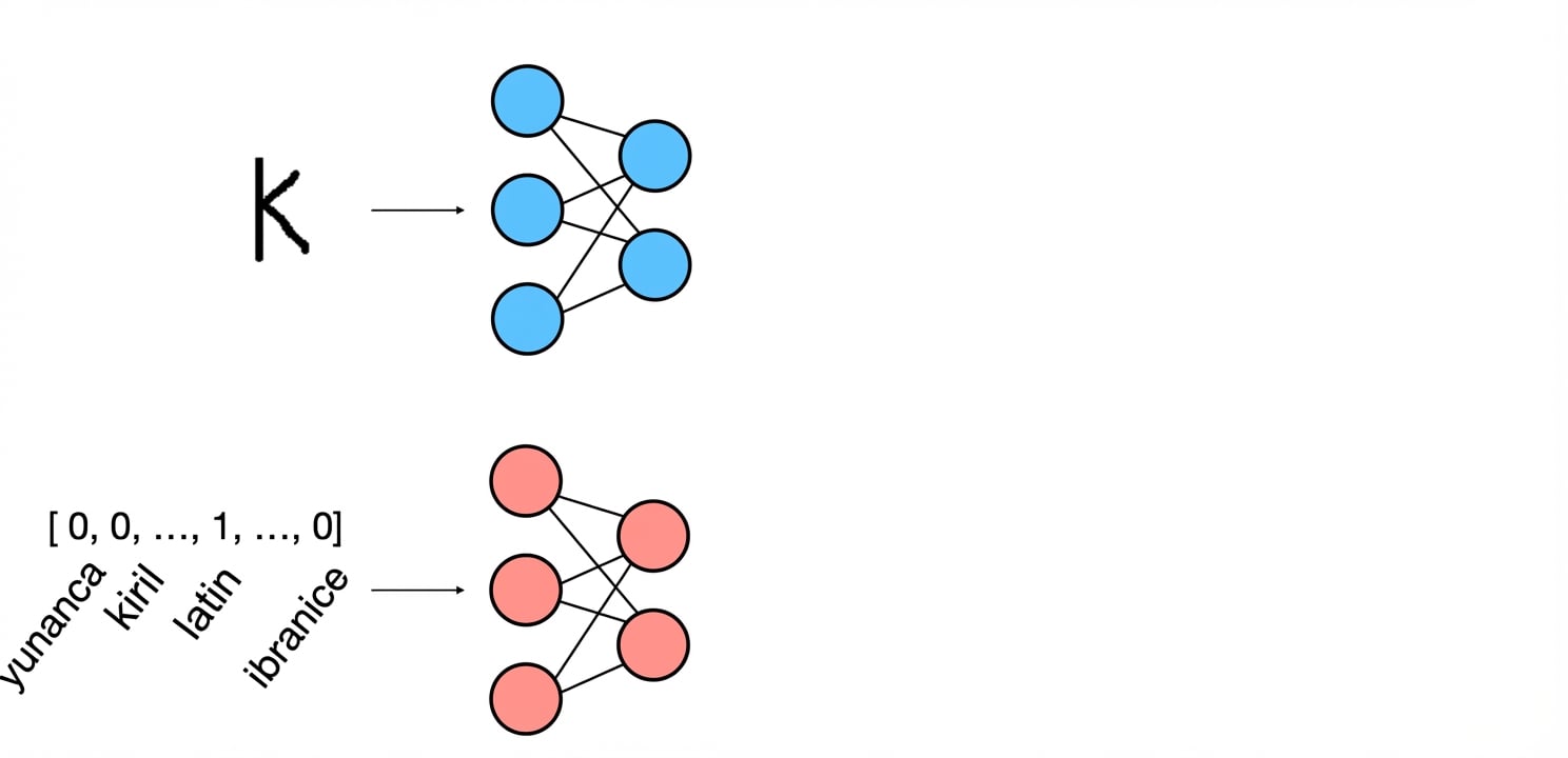Model şeması: tek-sıcak alfabet vektörü bir sinir ağına verilir.