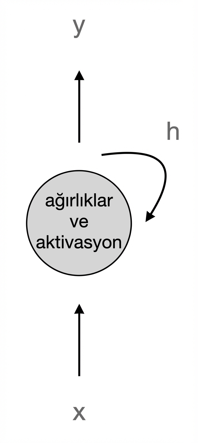 Düz bir RNN nöronu şeması: Ağırlıklar ve aktivasyon uygulayan nöron, girdi x alır; çıktılar y ve h üretir; h kendisine geri beslenir.
