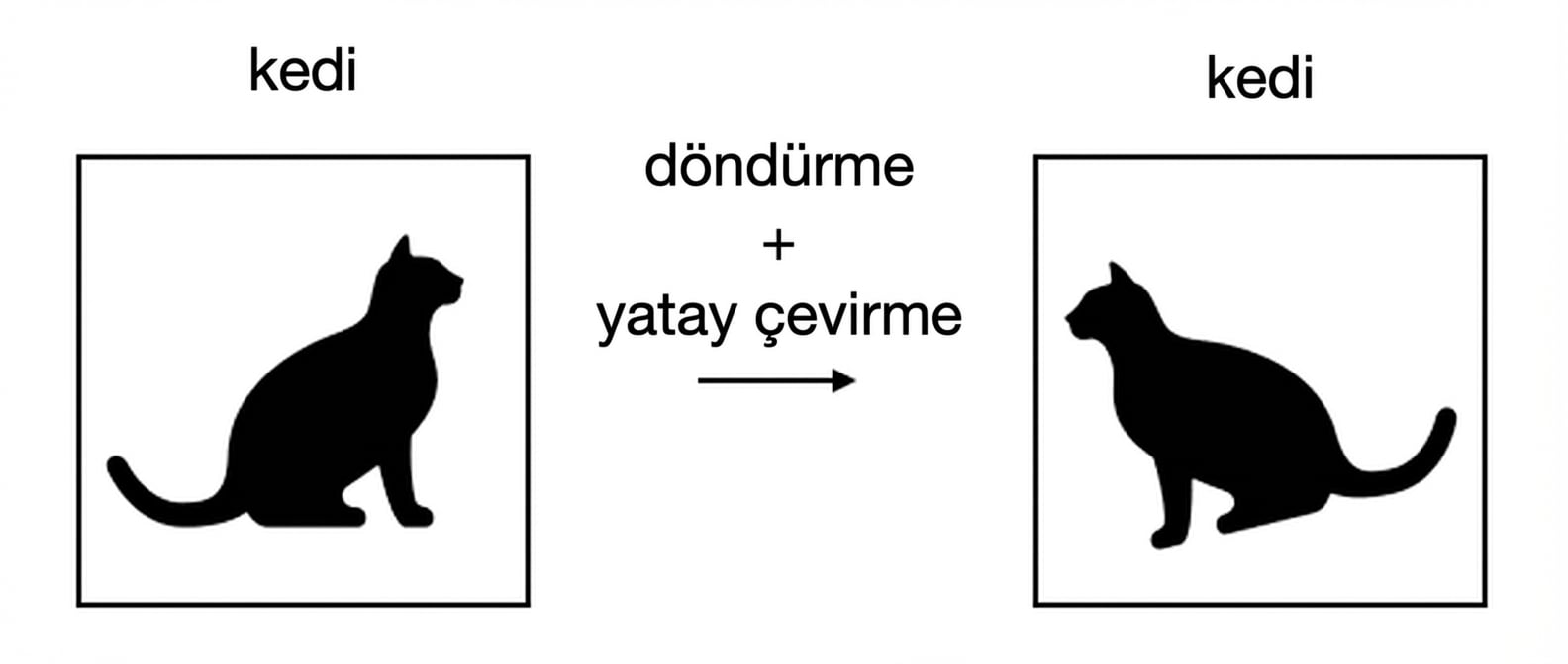 Yatay çevrilmiş ve döndürülmüş bir kedi resmi.