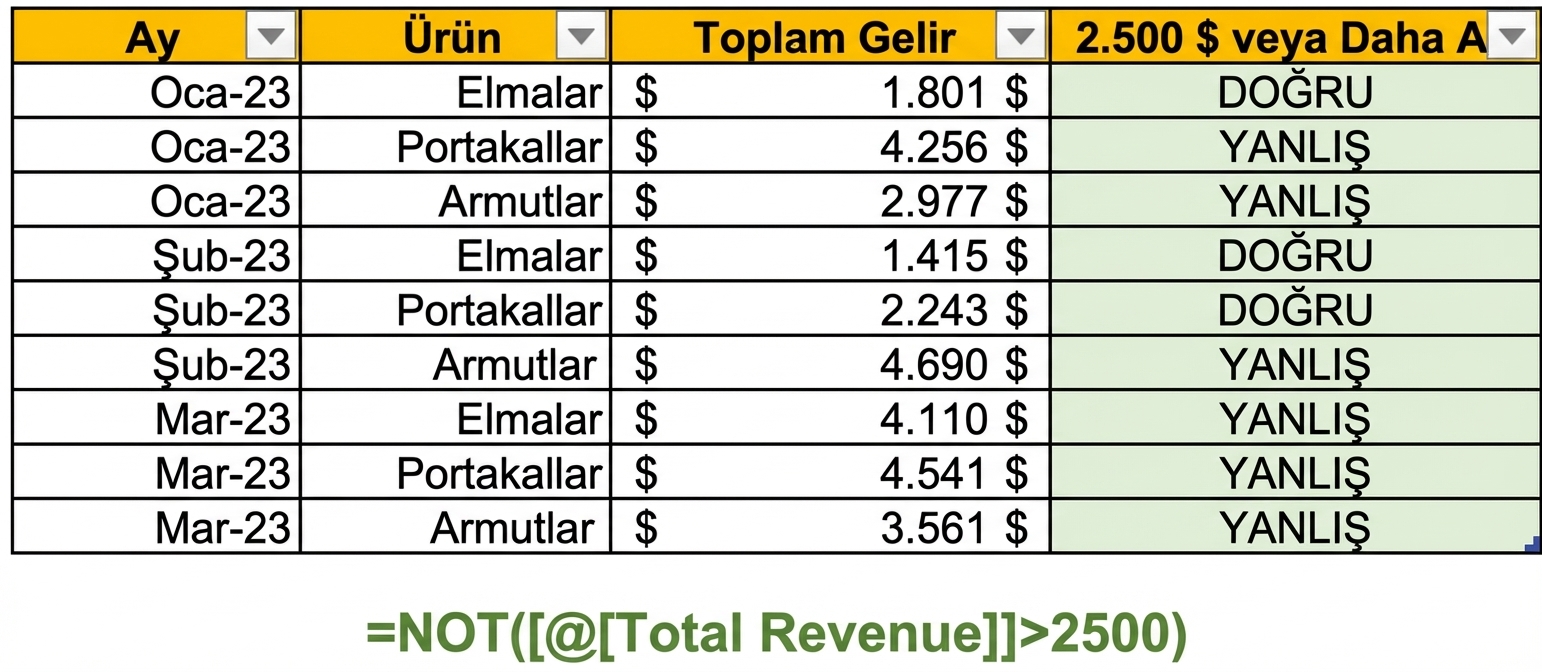 Excel'de NOT işlevi ve tek bir değişken koşuluyla sütun oluşturma örneği