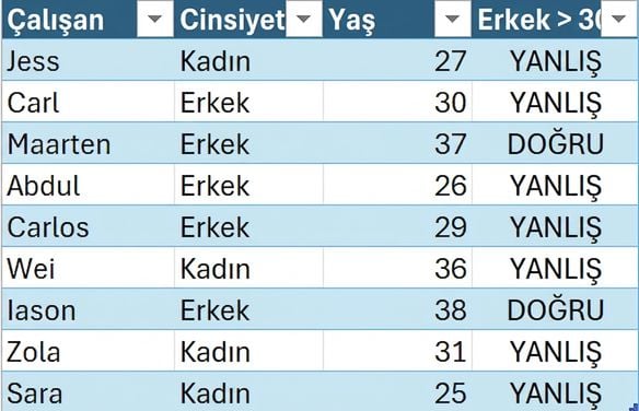 Çalışan adını, cinsiyetini, yaşını ve koşullu formülle oluşturulan sütunu gösteren DataCo İK örnek tablosu.