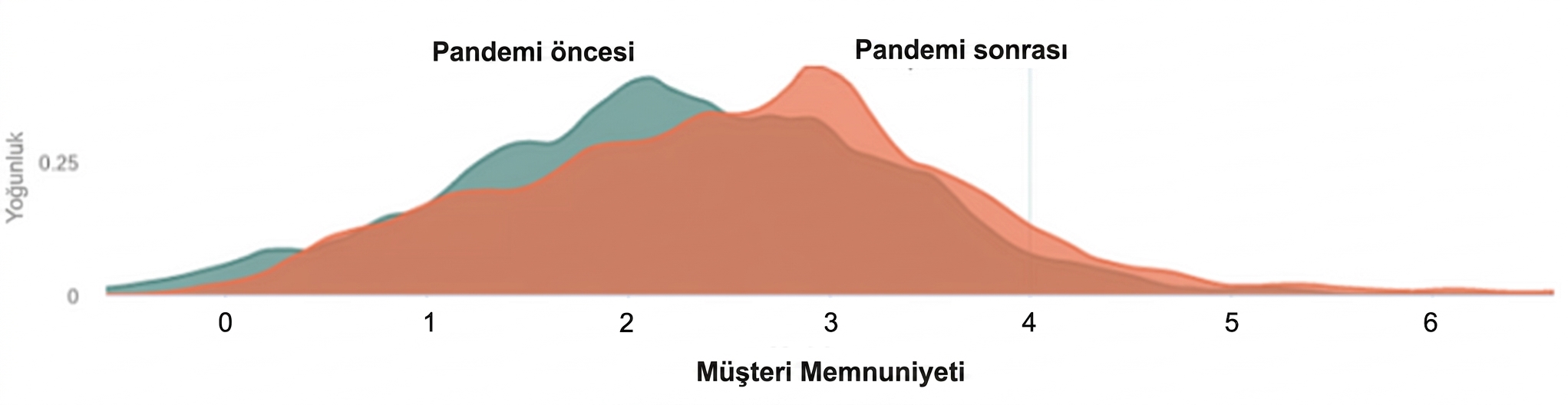 Resim Açıklaması