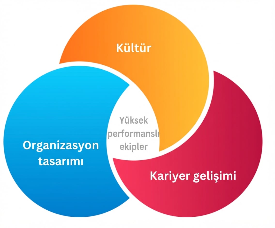 Yüksek performanslı ekipler