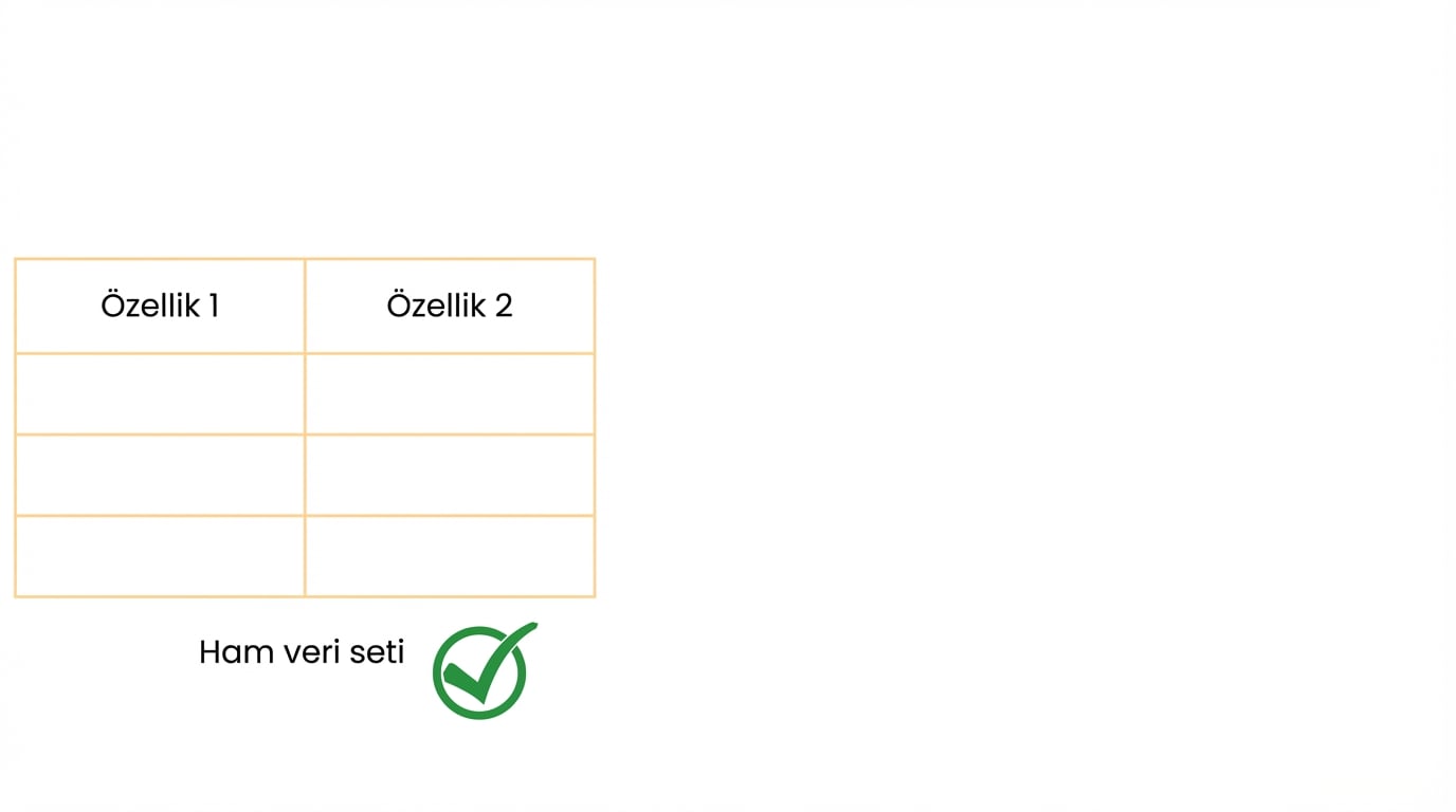 Ham öznitelikler mevcut haliyle kullanılabilir